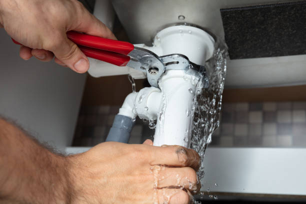 Best Professional water damage repair  in Islandia, NY