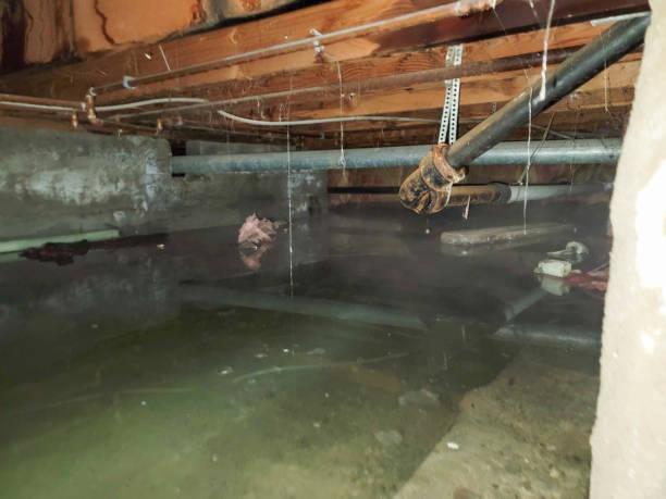 Best Water damage restoration specialists  in Islandia, NY