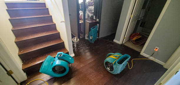  Islandia, NY Water damage restoration Pros