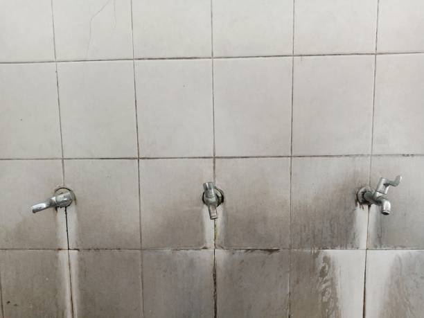 Best Mold removal after water damage  in Islandia, NY