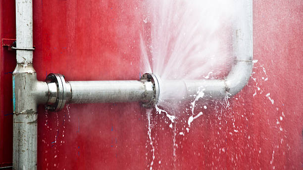 Best Flood restoration services  in Islandia, NY